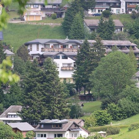 Todnauerberg Hotel Im Schwarzwald Todtnauberg Ngoại thất bức ảnh