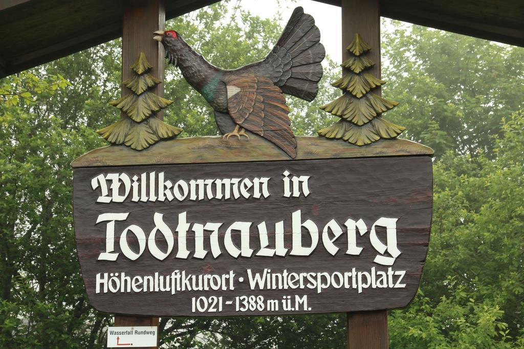 Todnauerberg Hotel Im Schwarzwald Todtnauberg Ngoại thất bức ảnh