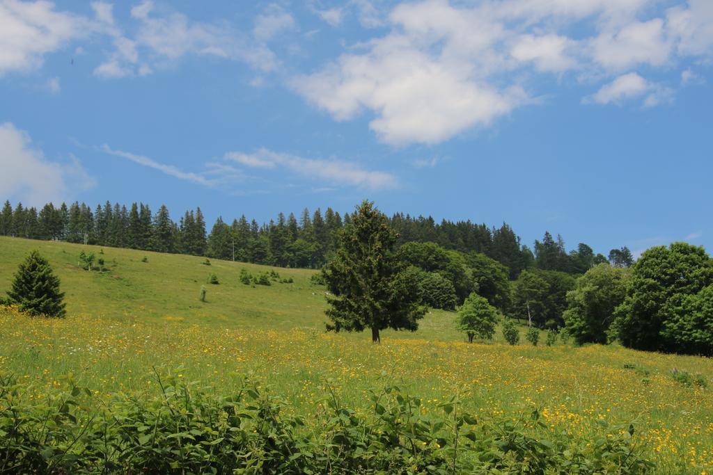 Todnauerberg Hotel Im Schwarzwald Todtnauberg Ngoại thất bức ảnh