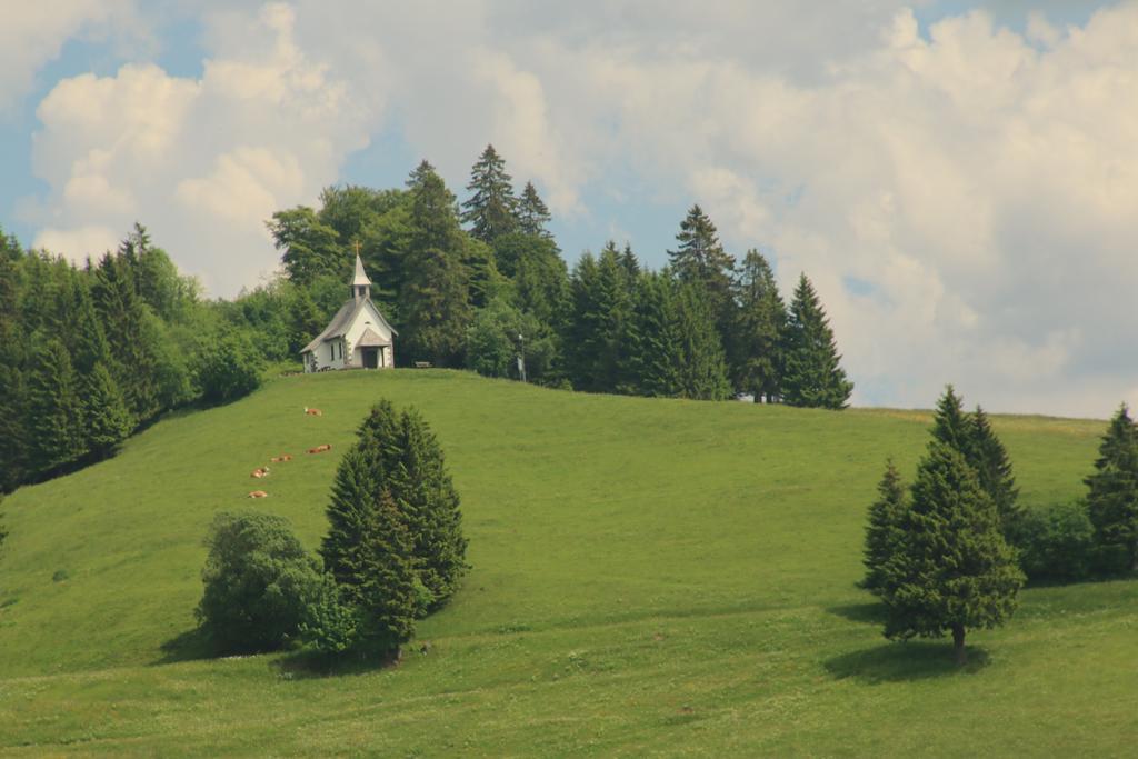 Todnauerberg Hotel Im Schwarzwald Todtnauberg Ngoại thất bức ảnh