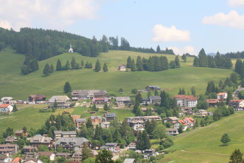 Todnauerberg Hotel Im Schwarzwald Todtnauberg Ngoại thất bức ảnh