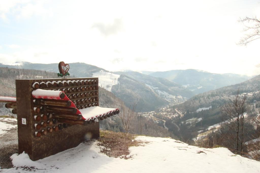 Todnauerberg Hotel Im Schwarzwald Todtnauberg Ngoại thất bức ảnh