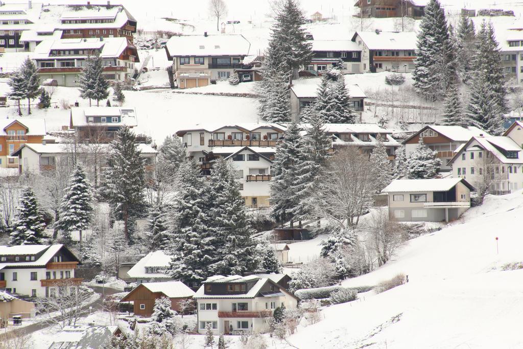 Todnauerberg Hotel Im Schwarzwald Todtnauberg Ngoại thất bức ảnh