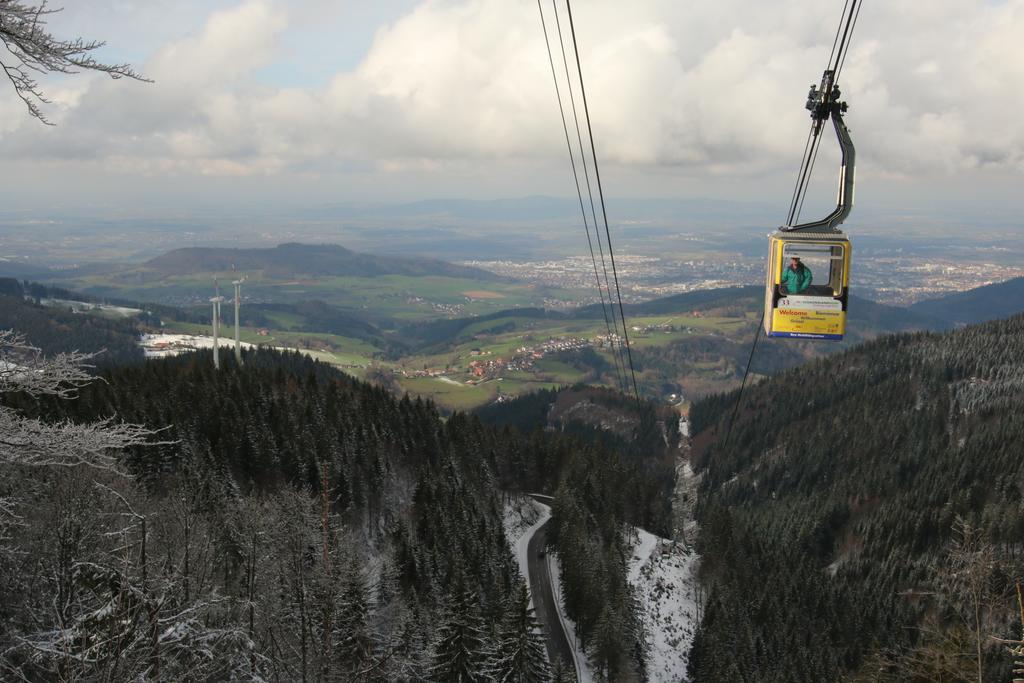 Todnauerberg Hotel Im Schwarzwald Todtnauberg Ngoại thất bức ảnh