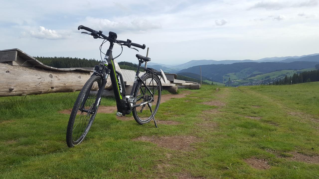 Todnauerberg Hotel Im Schwarzwald Todtnauberg Ngoại thất bức ảnh